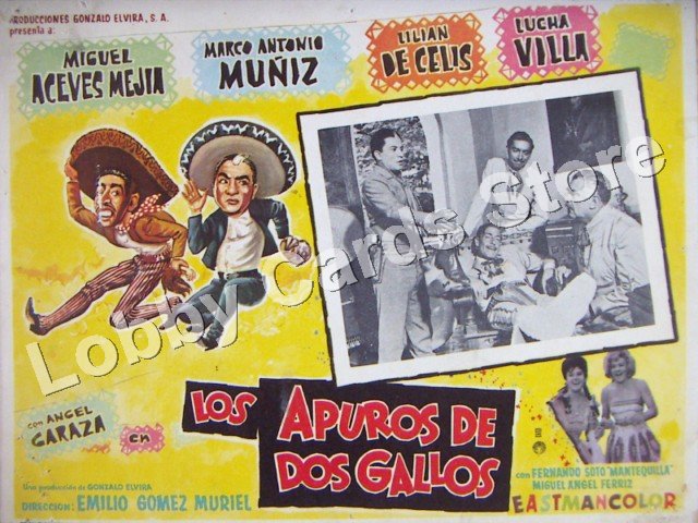 MIGUEL ACEVES MEJIA/LOS APUROS DE DOS GALLOS